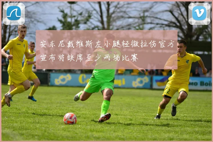 安东尼戴维斯左小腿轻微拉伤官方宣布将缺席至少两场比赛