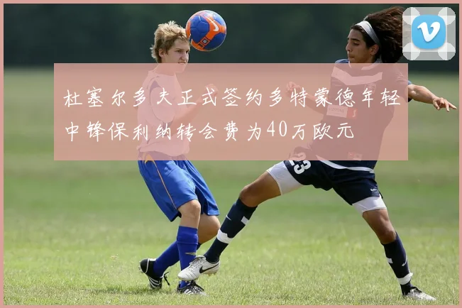 杜塞尔多夫正式签约多特蒙德年轻中锋保利纳转会费为40万欧元