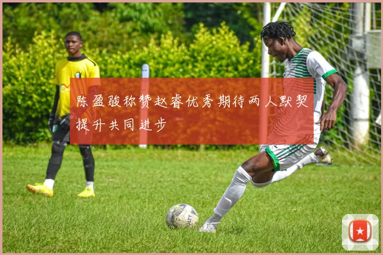 陈盈骏称赞赵睿优秀期待两人默契提升共同进步